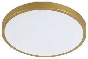 LED Mennyezeti lámpa KERN LED/24W/230V á. 39 cm