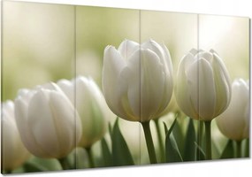 Vászonkép 120x80 Fehér tulipánok