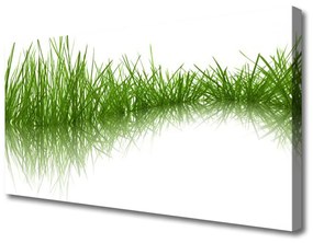 Canvas kép Grass Nature Plant 120x60 cm