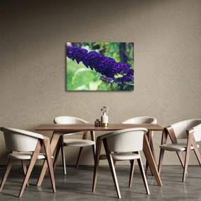 Kék virág képe (70x50 cm)