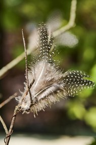 IB Laursen Drótos függő toll FEATHER DECOR barna - több színben