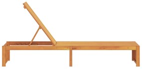 Napozóágy 200x55x30 cm Tömör Akácfa