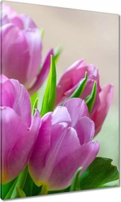 Vászonkép 70x100 Tulipánok Virágok