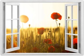 Poszterek 120x80 Pipacsok napfelkeltekor