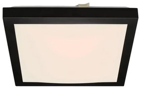 Briloner 3502-015 - LED Mennyezeti lámpa FLEDO LED/12W/230V