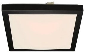 Briloner Briloner 3502-015 - LED Mennyezeti lámpa FLEDO LED/12W/230V BL1422