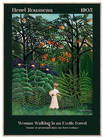 Kép 50x70 cm Exotic Forest – Styler