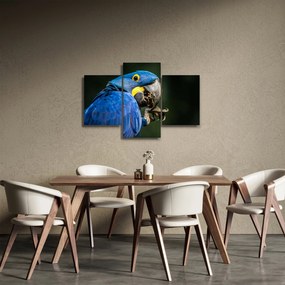 Papagáj képe (90x60 cm)