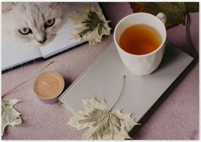 Poszterek 100x70 Cica Cicák