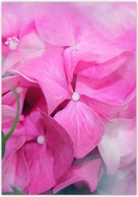 Poszterek 70x100 Nőnap Ajándék Love