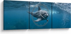 Kép - Delfin a felszín alatt (órával) (90x30 cm)