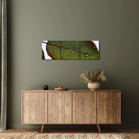 Kép - Rózsalevél (órával) (90x30 cm)