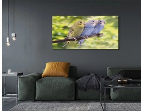 Akrilkép Színes papagáj egy ágon 100x50 cm