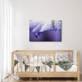 Kép - Szirom cseppekkel (90x60 cm)