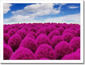 Poszterek keretben 40x30 Kifejező rét Tájkép