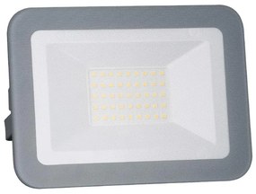 NEDES LED Reflektor LED/30W/230V IP65 ND3136