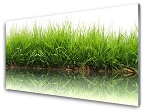 Akrilkép Grass Nature Plant 100x50 cm 2 fogas