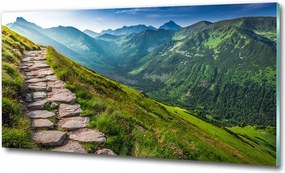 Fotó kép edzett üveg pipacs mező 100x70