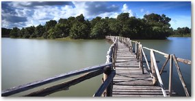 Fotó kép edzett üveg Fa híd 140x70