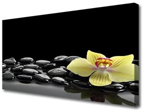 Vászonkép Fekete virág Kitchen 100x50 cm