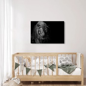 Egy vadtigris képe (90x60 cm)