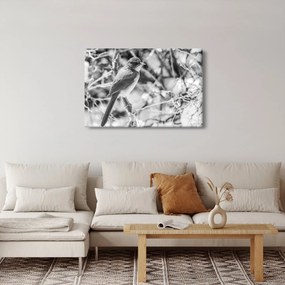 Kép - Kék madár télen (90x60 cm)