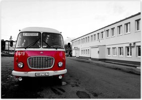 Poszterek 100x70 Piros szarvas uborka