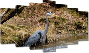 Vászonkép 140x80 Kalapos madár Tájkép Kilátás