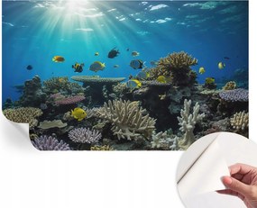Modern fotótapéta Öntapadós Mosható Víz alatti világ 416x254 cm