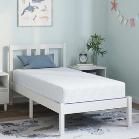 Matrac Fehér és kék 80 x 160 cm Hab
