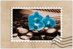 Poszter 60x40 Türkiz orchidea