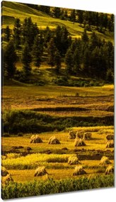 Festmények 80x120 Tájkép Látvány