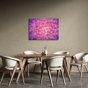 Részletes virágkép (70x50 cm)