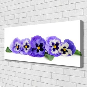 Vászonfotó Virágszirmok Pansies 140x70 cm