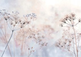 Fotótapéta Virágok Boho Természet Hálószoba Nappali Tapéta Flizelina 400x280