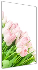 Egyedi üvegkép Rózsaszín tulipánok osv-22467427