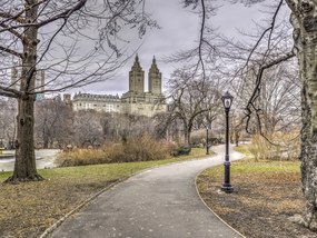Poszter 40x30cm Ösvény a központi parkon át 3, Assaf Frank
