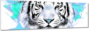Vászonkép 120x40 Tigris csillag türkiz