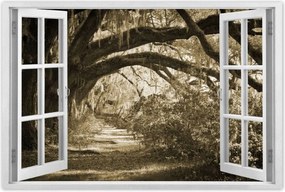 Poszterek 60x40 Tölgyek a Szépia parkban