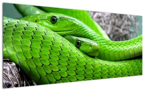 Zöld kígyók képe (120x50 cm)