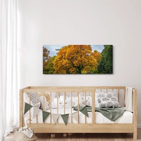 Fa képe (120x50 cm)