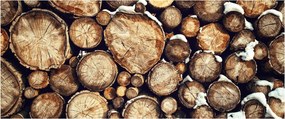 Kép - Fa a hóban (120x50 cm)