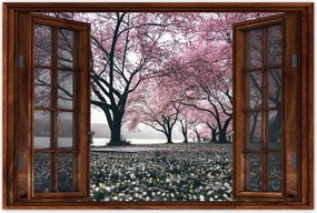 Poszterek 60x40 Fa Fák Kilátás