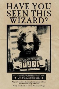 Művészi plakát Harry Potter - Wanted Sirius Black