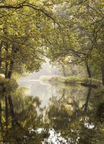 Poszter 20,5x28,4cm Basingstoke csatorna 2, Assaf Frank