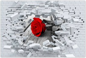 Poszterek 120x80 Rózsa Valentin napi ajándék