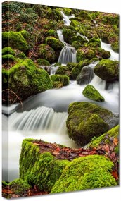 Vászonkép 20x30 Hegyi tájkép patakkal Patak a hegyekben