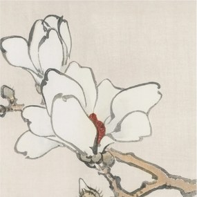 Dekoratív Fotótapéta Fali Falra Finom magnólia 250x250 Ragasztó