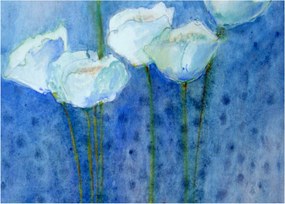 Kép - fehér tulipán (70x50 cm)