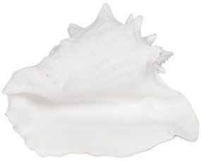 Poligyanta szobor (magasság 13 cm) Seashell – Ixia